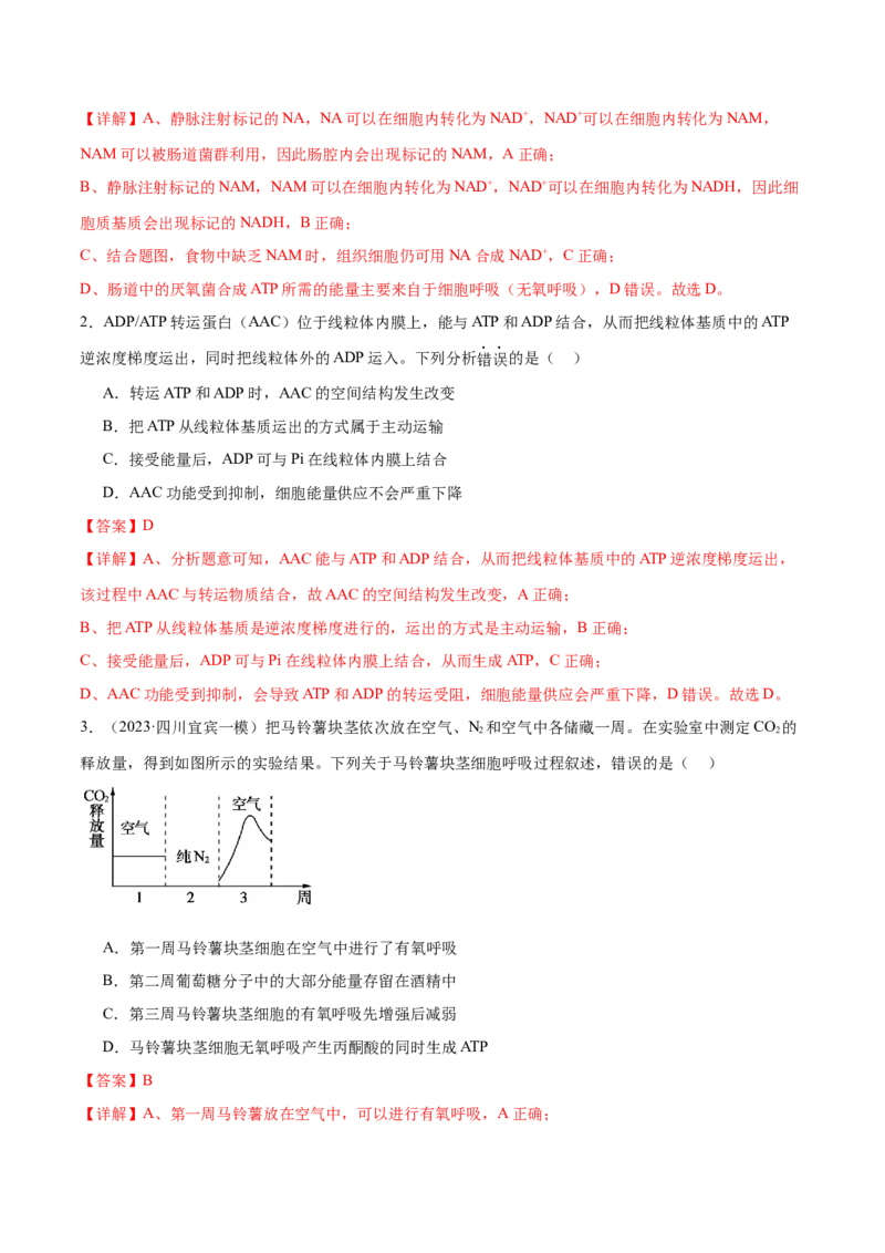 第04讲细胞呼吸和光合作用（练习）（解析版）_2024年新高考资料_2.2024二轮复习_2024年高考生物二轮复习讲练测（新教材新高考）