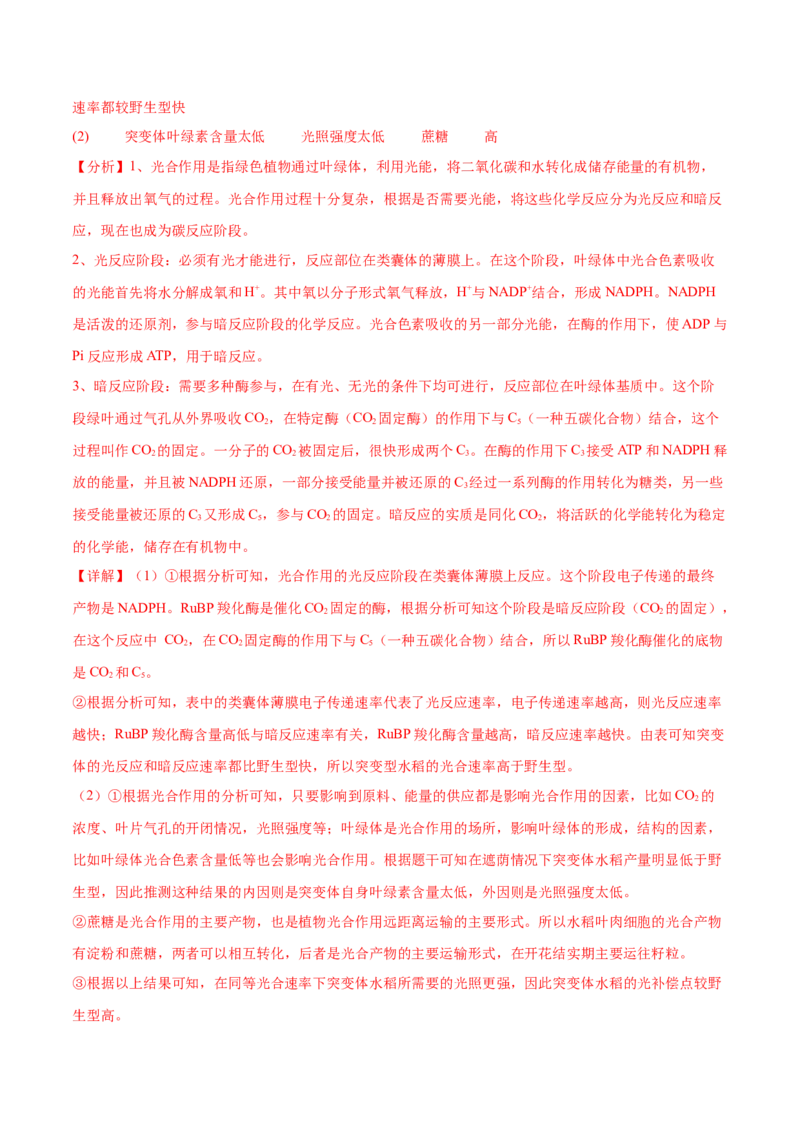 第04讲细胞呼吸和光合作用（练习）（解析版）_2024年新高考资料_2.2024二轮复习_2024年高考生物二轮复习讲练测（新教材新高考）