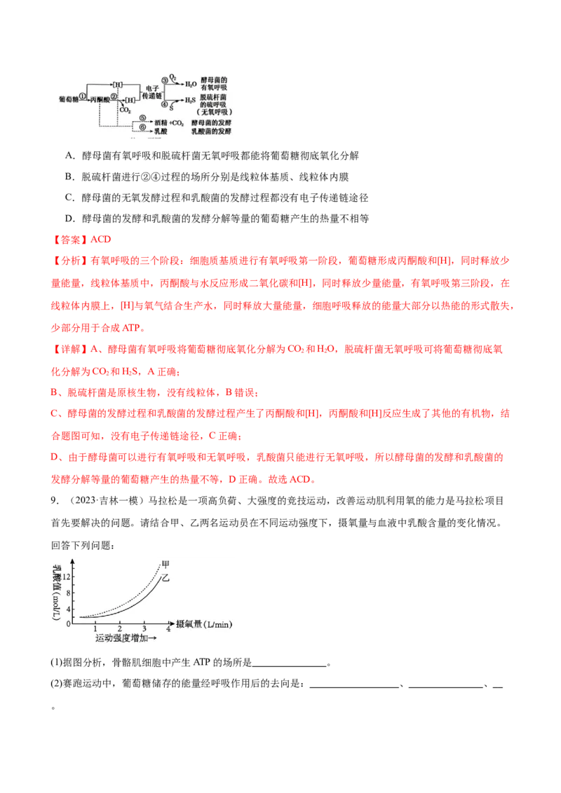 第04讲细胞呼吸和光合作用（练习）（解析版）_2024年新高考资料_2.2024二轮复习_2024年高考生物二轮复习讲练测（新教材新高考）