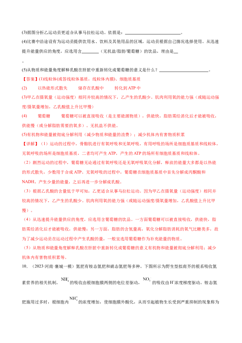 第04讲细胞呼吸和光合作用（练习）（解析版）_2024年新高考资料_2.2024二轮复习_2024年高考生物二轮复习讲练测（新教材新高考）