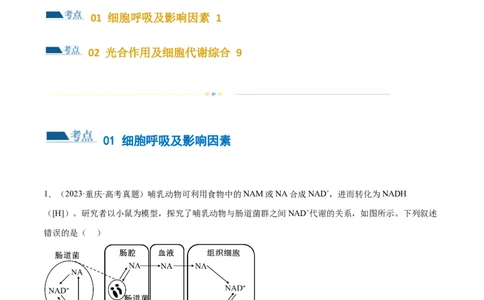 第04讲细胞呼吸和光合作用（练习）（解析版）_2024年新高考资料_2.2024二轮复习_2024年高考生物二轮复习讲练测（新教材新高考）