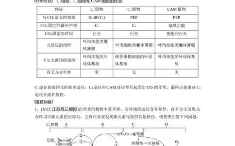 2023年高考生物一轮复习（新人教新高考）第3单元解惑练1　C3植物、C4植物和CAM植物_新高考复习资料_2023年新高考复习资料_一轮复习_2023年新高考大一轮复习讲义
