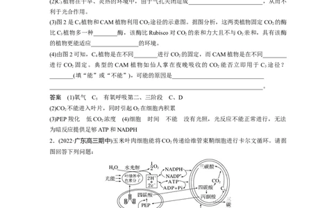 2023年高考生物一轮复习（新人教新高考）第3单元解惑练1　C3植物、C4植物和CAM植物_新高考复习资料_2023年新高考复习资料_一轮复习_2023年新高考大一轮复习讲义
