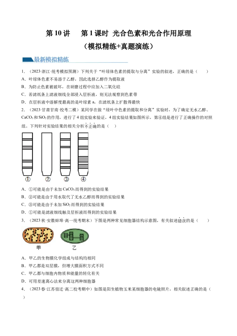 第10.1讲光合色素和光合作用原理（练习）（原卷版）_2024年新高考资料_1.2024一轮复习_2024年高考生物一轮复习讲练测（新教材新高考）