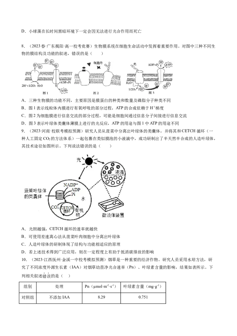 第10.1讲光合色素和光合作用原理（练习）（原卷版）_2024年新高考资料_1.2024一轮复习_2024年高考生物一轮复习讲练测（新教材新高考）