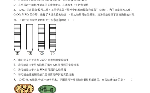 第10.1讲光合色素和光合作用原理（练习）（原卷版）_2024年新高考资料_1.2024一轮复习_2024年高考生物一轮复习讲练测（新教材新高考）