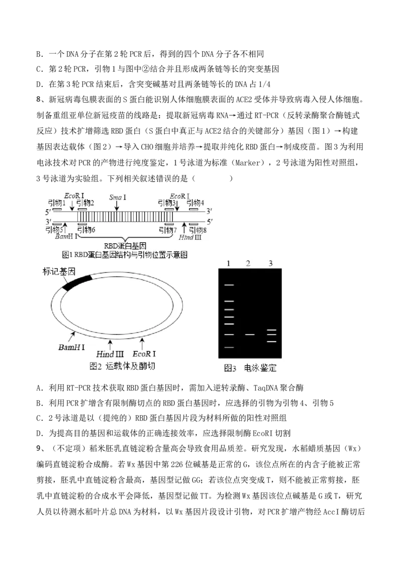 热点链接基因工程的相关热点（原卷版）_2024年新高考资料_2.2024二轮复习_2024年高考生物二轮复习讲练测（新教材新高考）