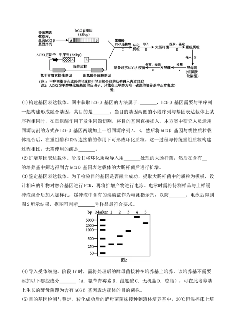 热点链接基因工程的相关热点（原卷版）_2024年新高考资料_2.2024二轮复习_2024年高考生物二轮复习讲练测（新教材新高考）