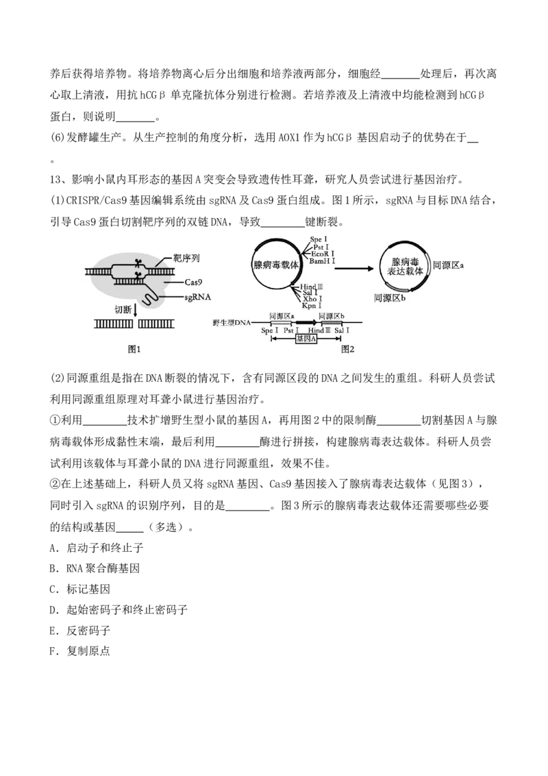 热点链接基因工程的相关热点（原卷版）_2024年新高考资料_2.2024二轮复习_2024年高考生物二轮复习讲练测（新教材新高考）