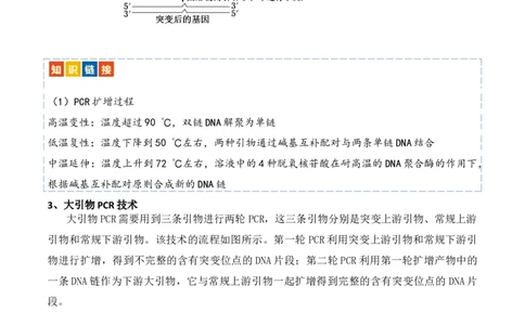 热点链接基因工程的相关热点（原卷版）_2024年新高考资料_2.2024二轮复习_2024年高考生物二轮复习讲练测（新教材新高考）