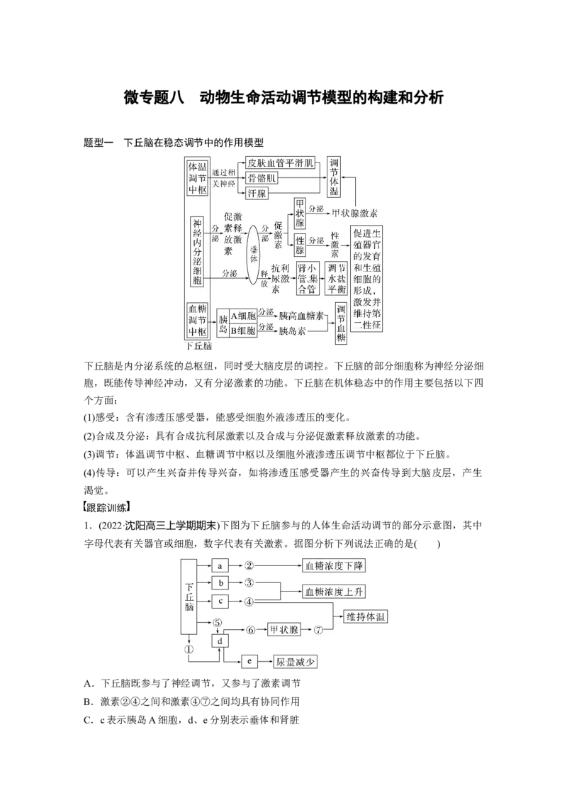 2023年高考生物一轮复习（新人教新高考）第8单元微专题八　动物生命活动调节模型的构建和分析_新高考复习资料_2023年新高考复习资料_一轮复习_2023年新高考大一轮复习讲义