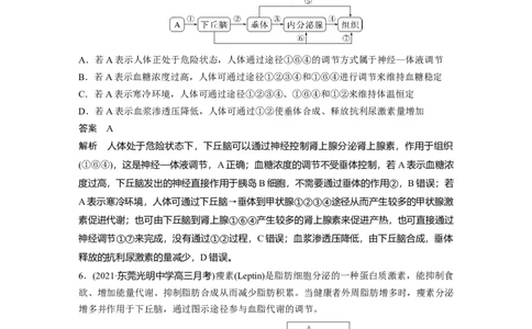 2023年高考生物一轮复习（新人教新高考）第8单元微专题八　动物生命活动调节模型的构建和分析_新高考复习资料_2023年新高考复习资料_一轮复习_2023年新高考大一轮复习讲义