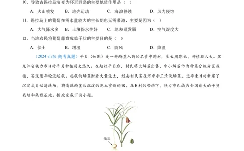 专题09农业+原卷版_2025年新高考资料_二轮复习_01高考语文等多个文件_2025年高三地理高考二轮复习专项提升_真题演练