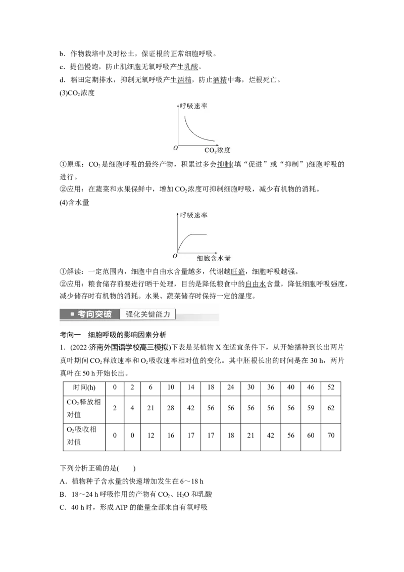 2023年高考生物一轮复习（新人教新高考）第3单元第4课时　细胞呼吸的影响因素及其应用_新高考复习资料_2023年新高考复习资料_一轮复习_2023年新高考大一轮复习讲义