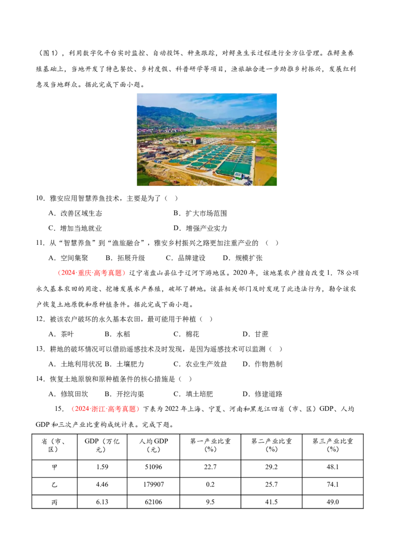 专题09产业区位与产业发展（练习）（原卷版）_2025年新高考资料_二轮复习_01高考语文等多个文件_上好课2025年高考地理二轮复习讲练测（新高考通用）_第一部分专题突破