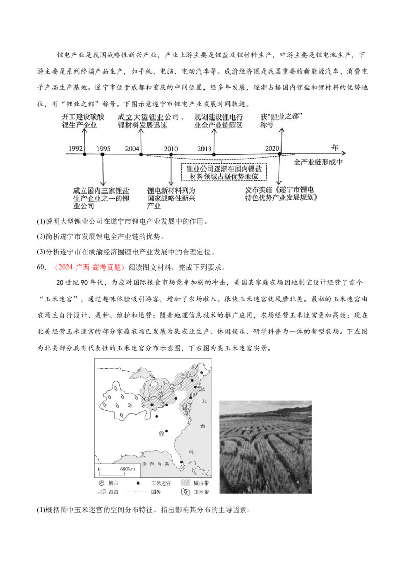 专题09产业区位与产业发展（练习）（原卷版）_2025年新高考资料_二轮复习_01高考语文等多个文件_上好课2025年高考地理二轮复习讲练测（新高考通用）_第一部分专题突破