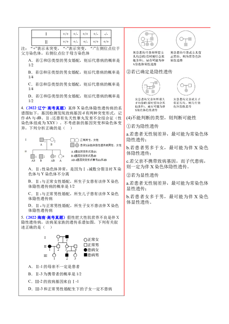 押新高考卷遗传的理论基础（解析版）-备战2024年高考生物临考题号押题（新高考通用）_2024年新高考资料_5.2024三轮冲刺_备战2024年高考生物临考题号押题（新高考通用）322745222