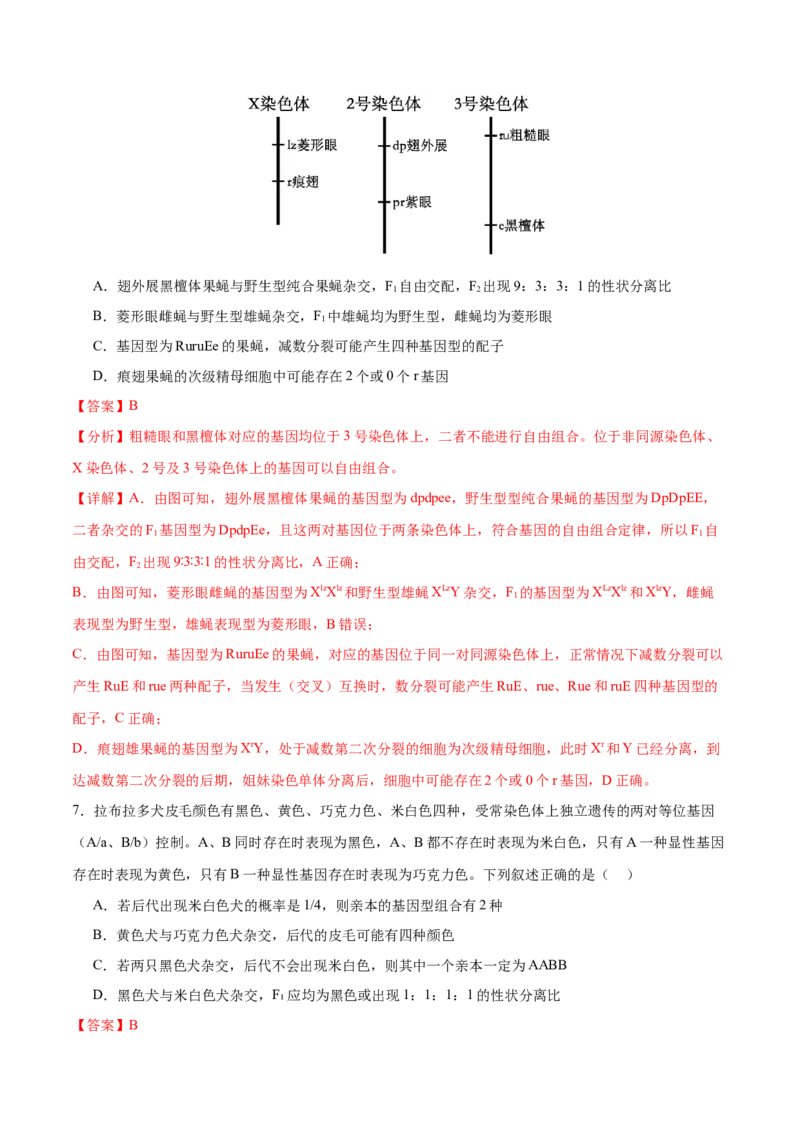 押新高考卷遗传的理论基础（解析版）-备战2024年高考生物临考题号押题（新高考通用）_2024年新高考资料_5.2024三轮冲刺_备战2024年高考生物临考题号押题（新高考通用）322745222