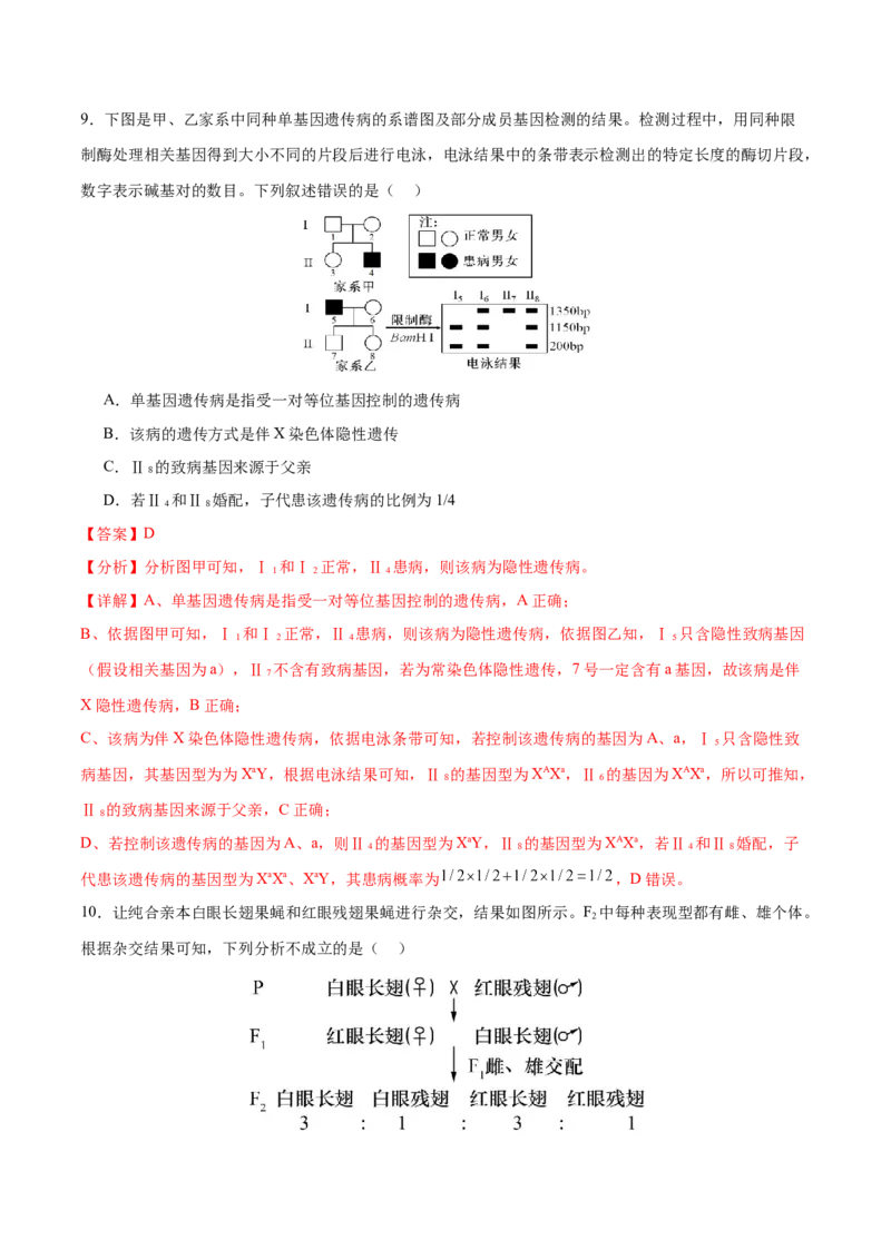 押新高考卷遗传的理论基础（解析版）-备战2024年高考生物临考题号押题（新高考通用）_2024年新高考资料_5.2024三轮冲刺_备战2024年高考生物临考题号押题（新高考通用）322745222