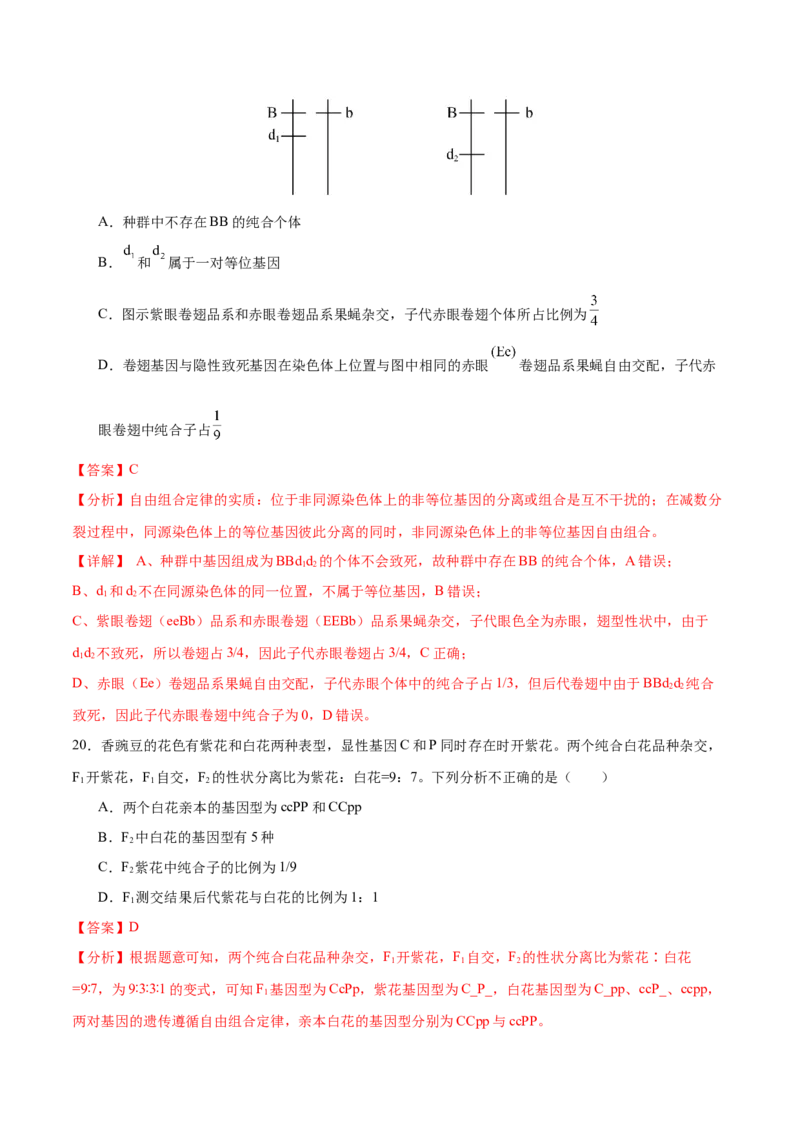 押新高考卷遗传的理论基础（解析版）-备战2024年高考生物临考题号押题（新高考通用）_2024年新高考资料_5.2024三轮冲刺_备战2024年高考生物临考题号押题（新高考通用）322745222