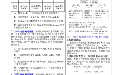 押新高考卷遗传的理论基础（解析版）-备战2024年高考生物临考题号押题（新高考通用）_2024年新高考资料_5.2024三轮冲刺_备战2024年高考生物临考题号押题（新高考通用）322745222