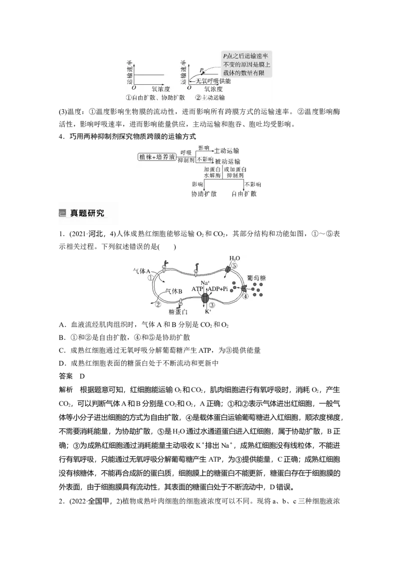 2023年高考生物二轮复习（全国版）第1篇专题突破专题1考点四　物质跨膜运输的方式_通用版（老高考）复习资料_2023年复习资料_二轮复习_2023年高考生物二轮复习讲义+课件（全国版）