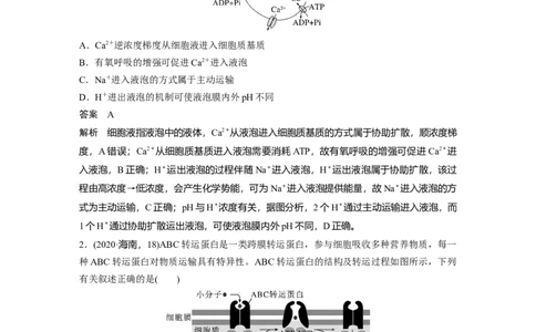 2023年高考生物二轮复习（全国版）第1篇专题突破专题1考点四　物质跨膜运输的方式_通用版（老高考）复习资料_2023年复习资料_二轮复习_2023年高考生物二轮复习讲义+课件（全国版）