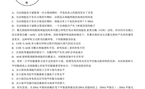 2023届四川省德阳市高三上学期第一次诊断考试生物试题_生物高考模拟题_新高考_2023年