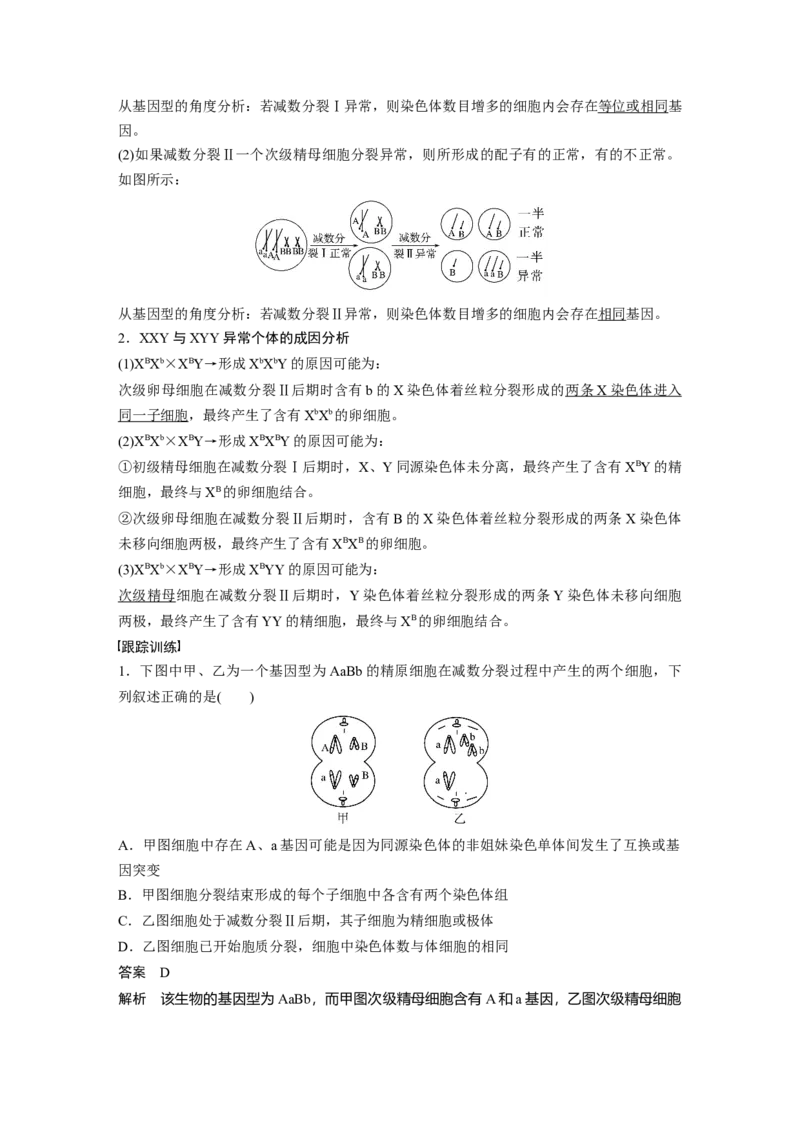 2023年高考生物一轮复习（新人教新高考）第4单元微专题三　减数分裂与可遗传变异的关系_新高考复习资料_2023年新高考复习资料_一轮复习_2023年新高考大一轮复习讲义