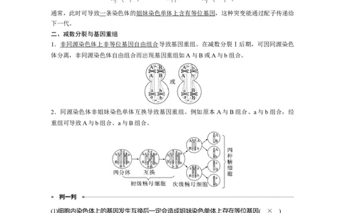 2023年高考生物一轮复习（新人教新高考）第4单元微专题三　减数分裂与可遗传变异的关系_新高考复习资料_2023年新高考复习资料_一轮复习_2023年新高考大一轮复习讲义