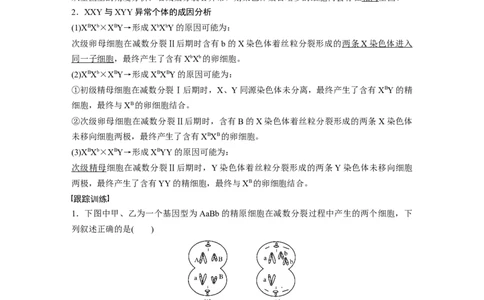 2023年高考生物一轮复习（新人教新高考）第4单元微专题三　减数分裂与可遗传变异的关系_新高考复习资料_2023年新高考复习资料_一轮复习_2023年新高考大一轮复习讲义