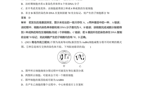 2023年高考生物一轮复习（新人教新高考）第4单元微专题三　减数分裂与可遗传变异的关系_新高考复习资料_2023年新高考复习资料_一轮复习_2023年新高考大一轮复习讲义