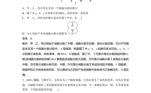 2023年高考生物一轮复习（新人教新高考）第4单元微专题三　减数分裂与可遗传变异的关系_新高考复习资料_2023年新高考复习资料_一轮复习_2023年新高考大一轮复习讲义