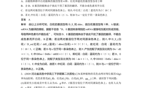 2022年高考生物一轮复习第5单元强化练10　探究不同对基因在常染色体上的位置问题_新高考复习资料_2022年新高考复习资料_2022年一轮复习最新版
