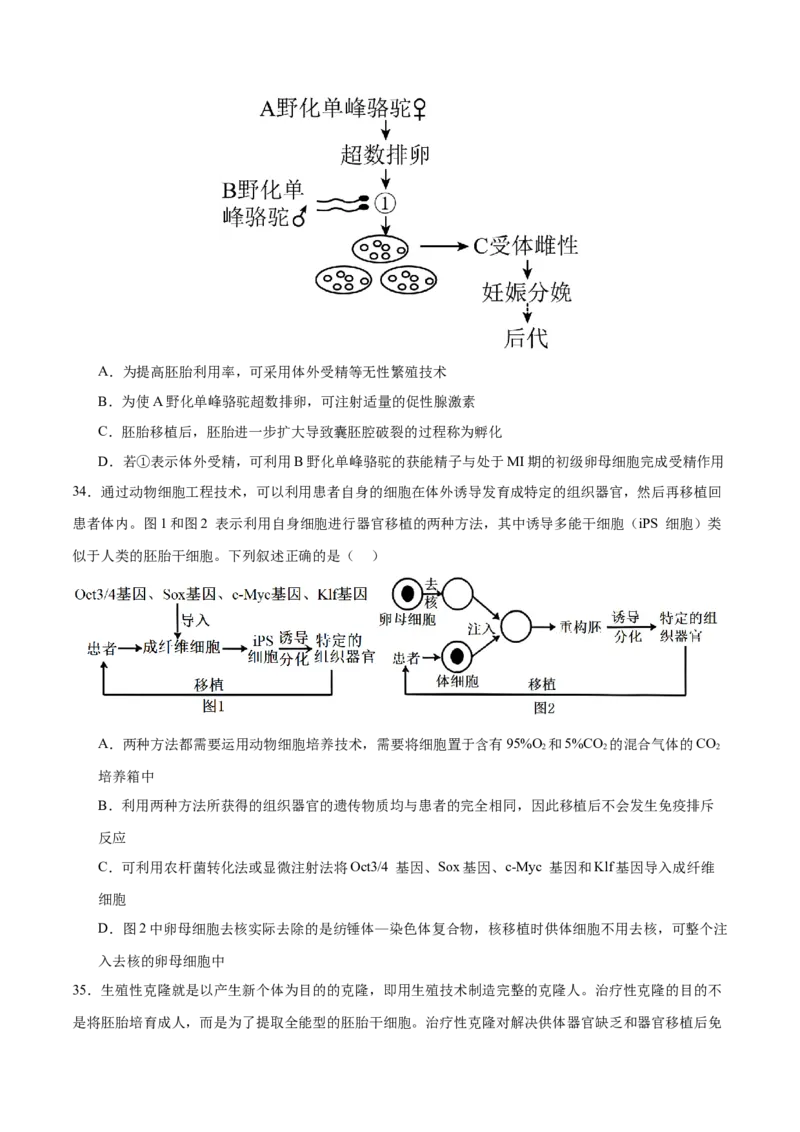 押新高考卷细胞工程（原卷版）-备战2024年高考生物临考题号押题（新高考通用）(1)_2024年新高考资料_5.2024三轮冲刺_备战2024年高考生物临考题号押题（新高考通用）322745222