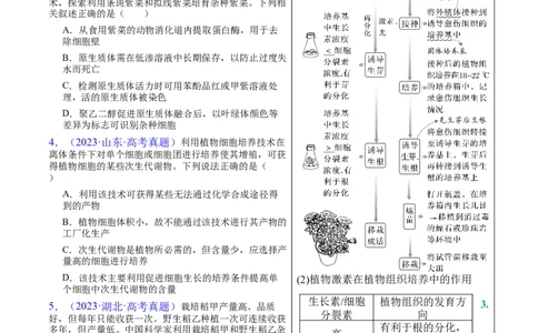 押新高考卷细胞工程（原卷版）-备战2024年高考生物临考题号押题（新高考通用）(1)_2024年新高考资料_5.2024三轮冲刺_备战2024年高考生物临考题号押题（新高考通用）322745222