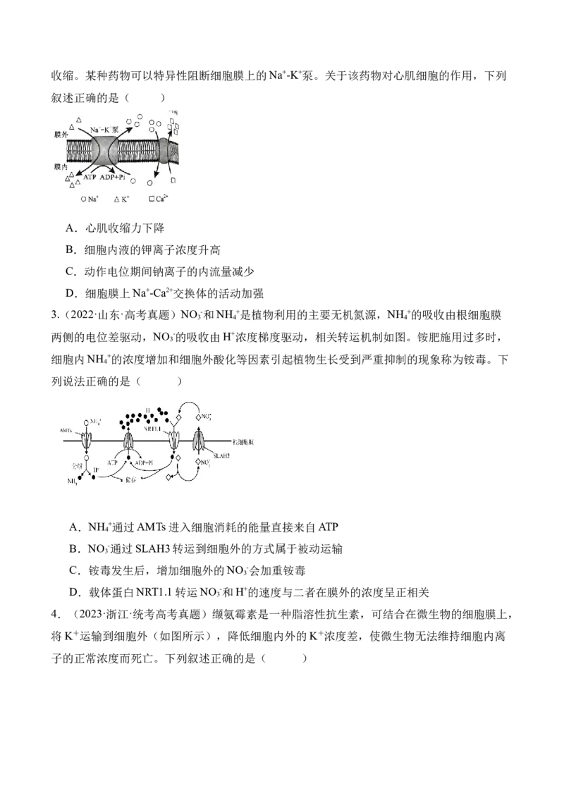 第02讲细胞的基本结构、功能与物质进出细胞的方式（讲义）原卷版_2024年新高考资料_2.2024二轮复习_2024年高考生物二轮复习讲练测（新教材新高考）