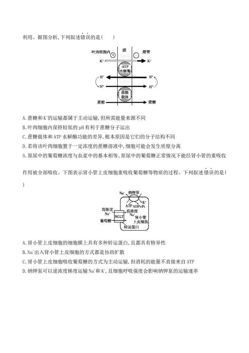 第02讲细胞的基本结构、功能与物质进出细胞的方式（讲义）原卷版_2024年新高考资料_2.2024二轮复习_2024年高考生物二轮复习讲练测（新教材新高考）