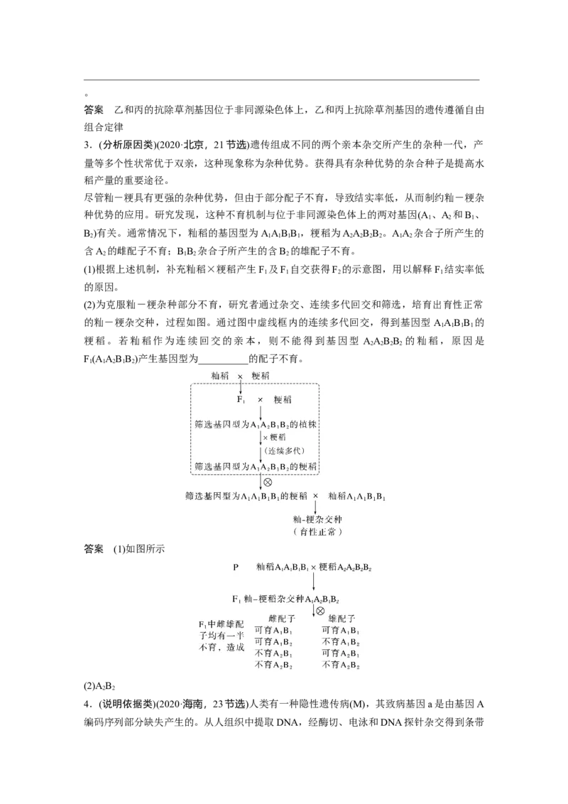 2023年高考生物二轮复习（全国版）第1篇专题突破专题4语言表达(三)　遗传实验中相关推理分析_通用版（老高考）复习资料_2023年复习资料_二轮复习