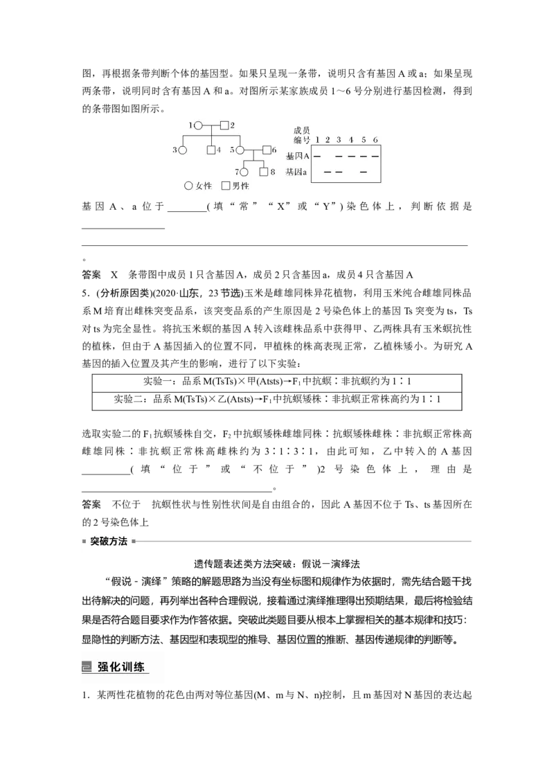 2023年高考生物二轮复习（全国版）第1篇专题突破专题4语言表达(三)　遗传实验中相关推理分析_通用版（老高考）复习资料_2023年复习资料_二轮复习