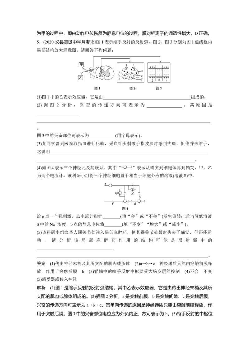 2022年高考生物一轮复习第8单元强化练15　兴奋传导的电位变化和电流表指针偏转问题_新高考复习资料_2022年新高考复习资料_2022年一轮复习最新版