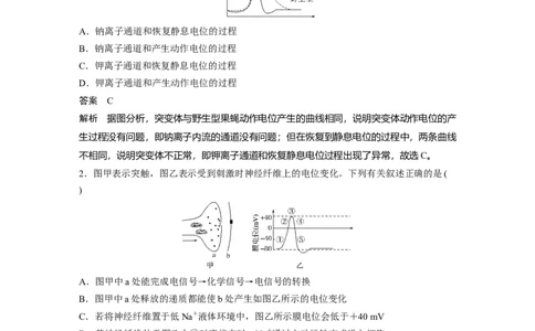2022年高考生物一轮复习第8单元强化练15　兴奋传导的电位变化和电流表指针偏转问题_新高考复习资料_2022年新高考复习资料_2022年一轮复习最新版