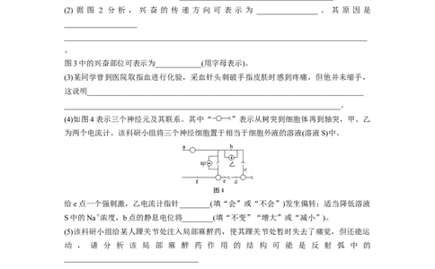 2022年高考生物一轮复习第8单元强化练15　兴奋传导的电位变化和电流表指针偏转问题_新高考复习资料_2022年新高考复习资料_2022年一轮复习最新版