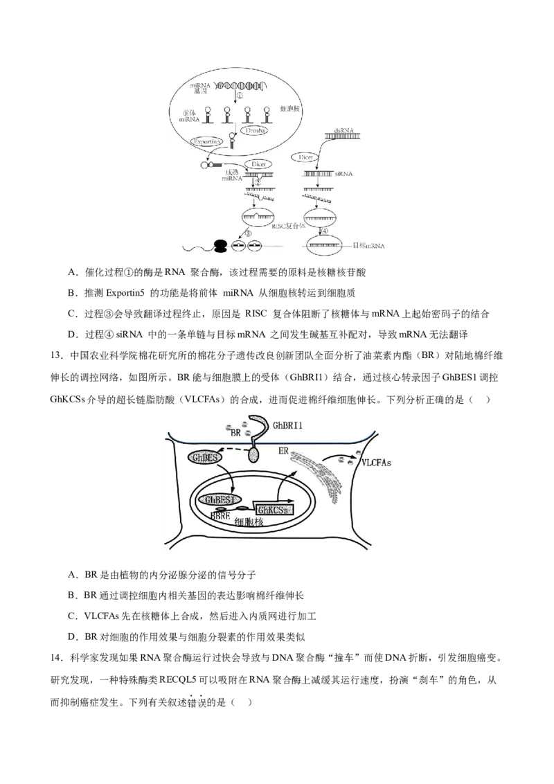 押新高考卷遗传的分子基础（原卷版）-备战2024年高考生物临考题号押题（新高考通用）_2024年新高考资料_5.2024三轮冲刺_备战2024年高考生物临考题号押题（新高考通用）322745222