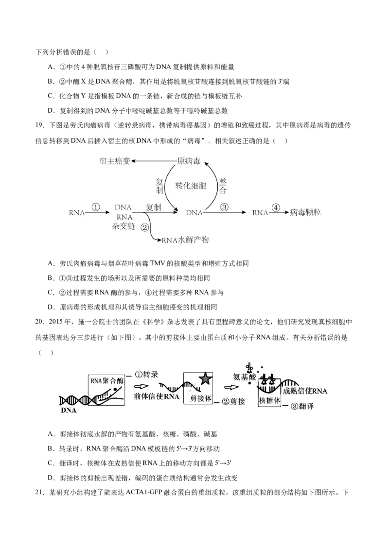 押新高考卷遗传的分子基础（原卷版）-备战2024年高考生物临考题号押题（新高考通用）_2024年新高考资料_5.2024三轮冲刺_备战2024年高考生物临考题号押题（新高考通用）322745222