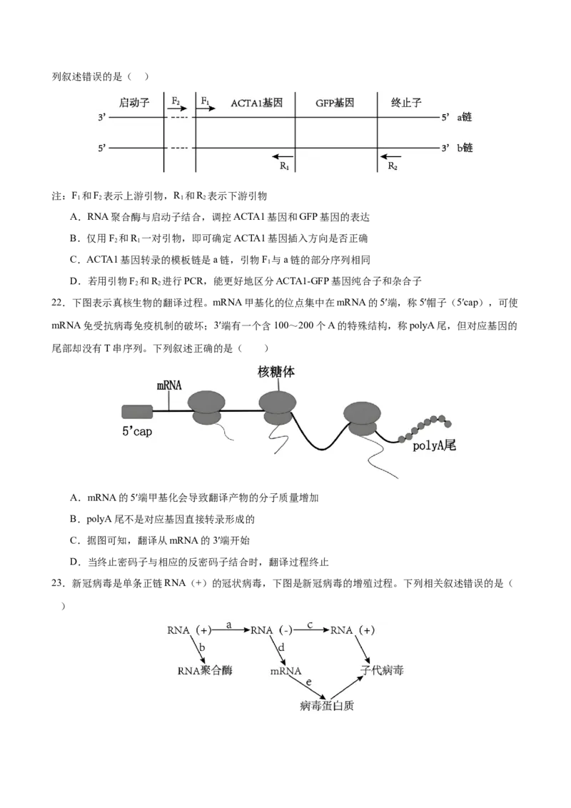 押新高考卷遗传的分子基础（原卷版）-备战2024年高考生物临考题号押题（新高考通用）_2024年新高考资料_5.2024三轮冲刺_备战2024年高考生物临考题号押题（新高考通用）322745222