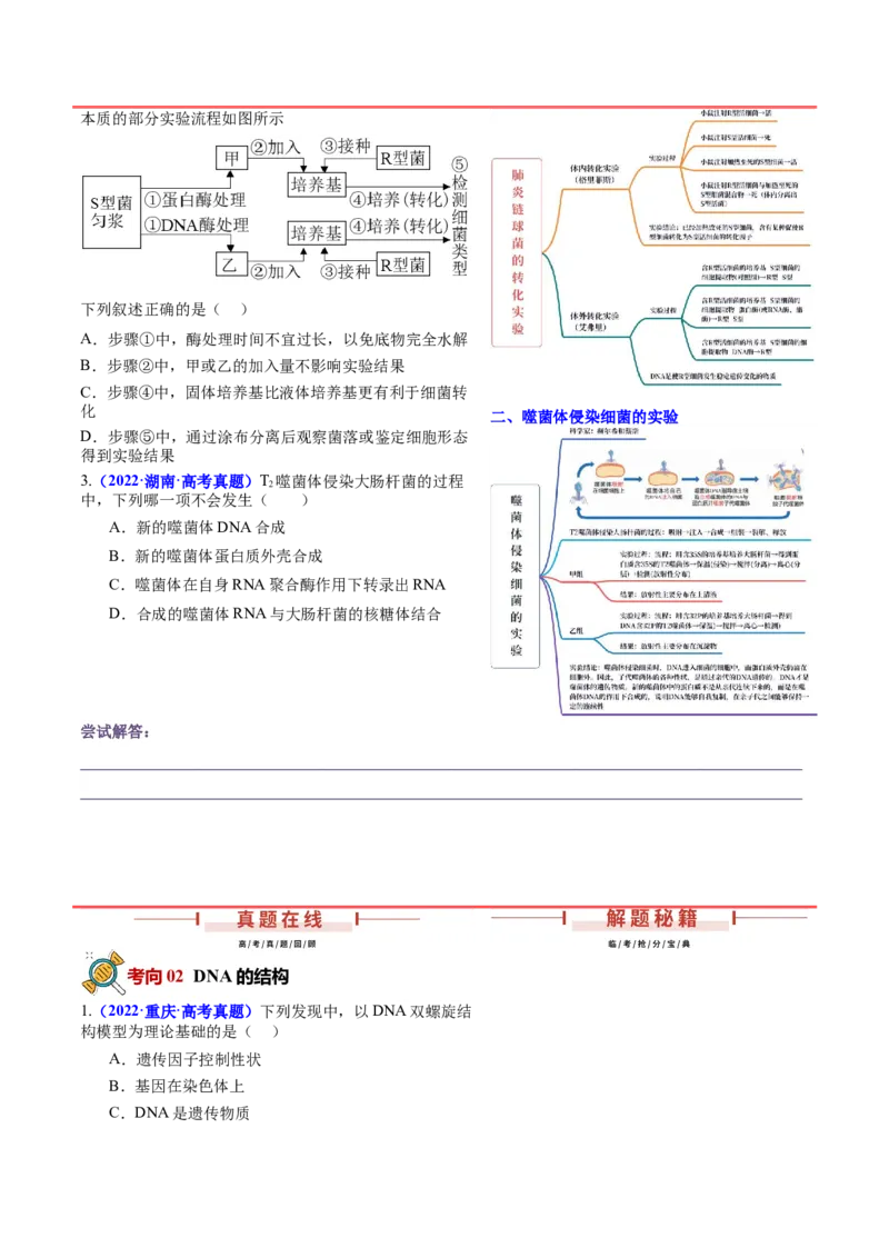 押新高考卷遗传的分子基础（原卷版）-备战2024年高考生物临考题号押题（新高考通用）_2024年新高考资料_5.2024三轮冲刺_备战2024年高考生物临考题号押题（新高考通用）322745222
