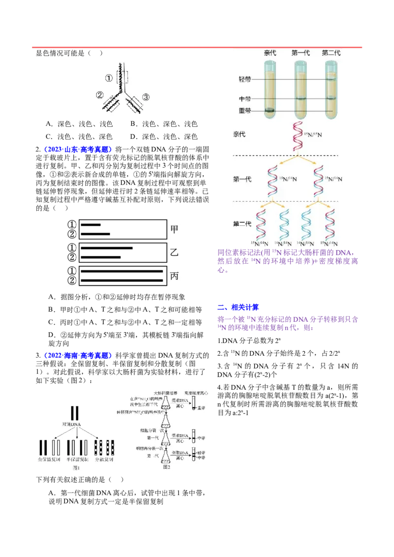 押新高考卷遗传的分子基础（原卷版）-备战2024年高考生物临考题号押题（新高考通用）_2024年新高考资料_5.2024三轮冲刺_备战2024年高考生物临考题号押题（新高考通用）322745222