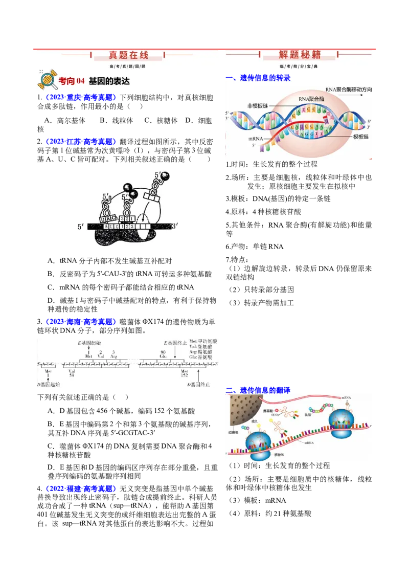 押新高考卷遗传的分子基础（原卷版）-备战2024年高考生物临考题号押题（新高考通用）_2024年新高考资料_5.2024三轮冲刺_备战2024年高考生物临考题号押题（新高考通用）322745222