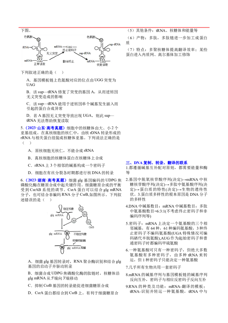 押新高考卷遗传的分子基础（原卷版）-备战2024年高考生物临考题号押题（新高考通用）_2024年新高考资料_5.2024三轮冲刺_备战2024年高考生物临考题号押题（新高考通用）322745222